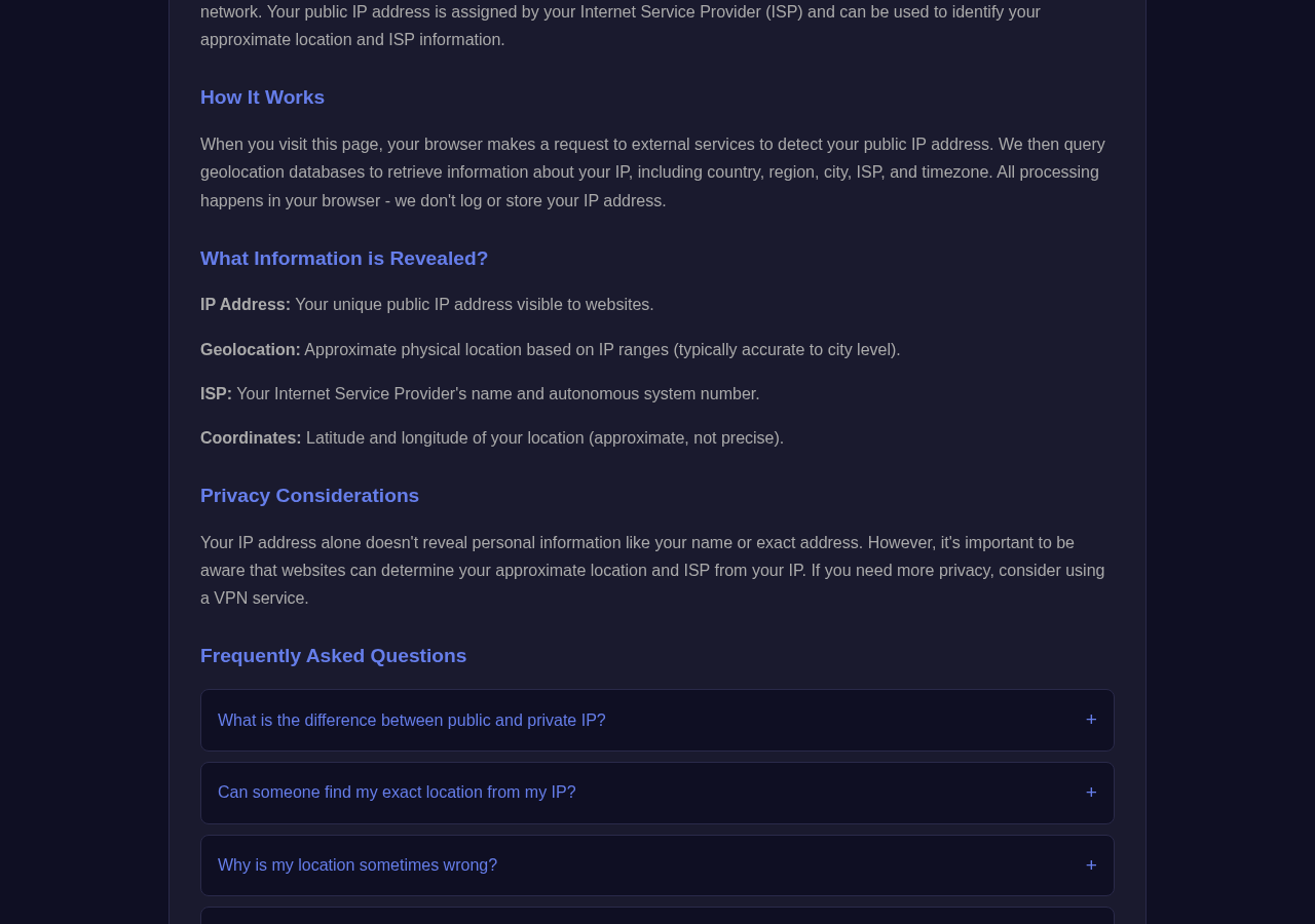 Ip Address Lookup tool interface
