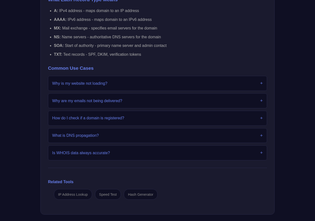 Dns Lookup tool interface