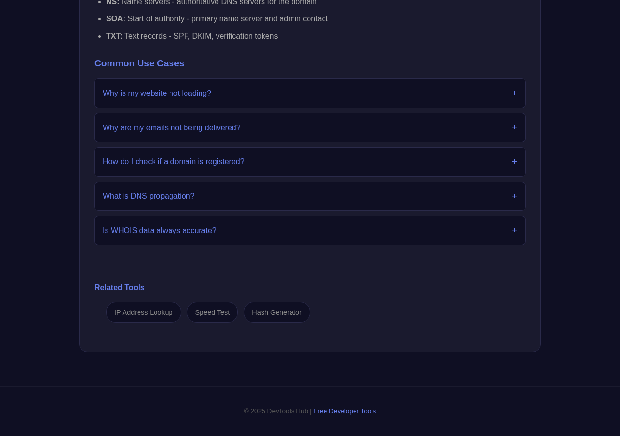 Dns Lookup tool interface