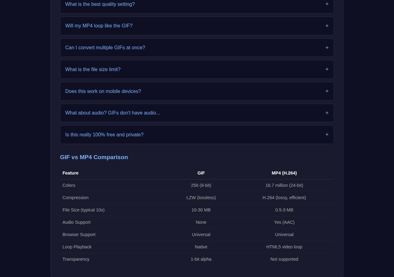 Gif To Mp4 tool interface