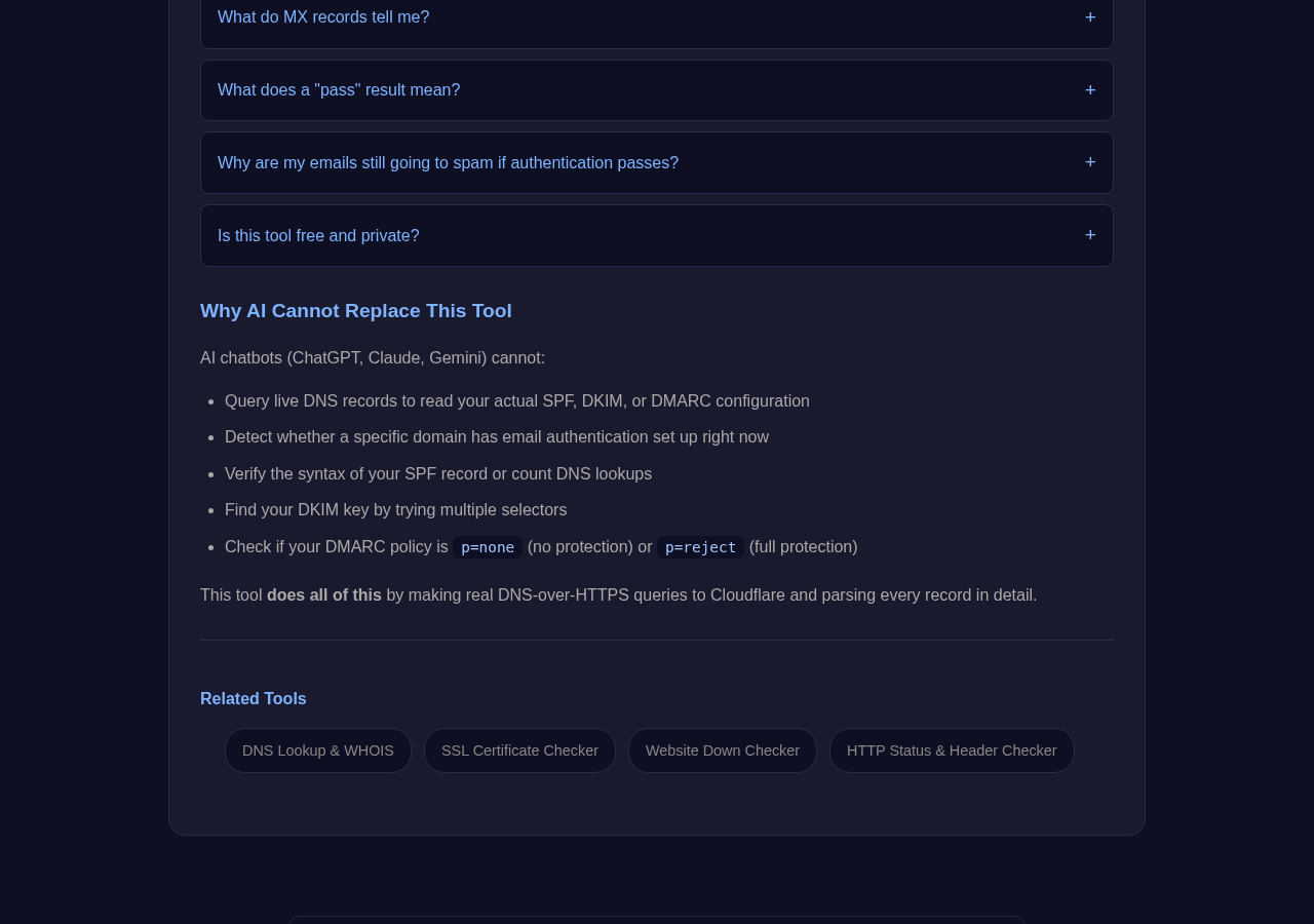Email Auth Checker tool interface